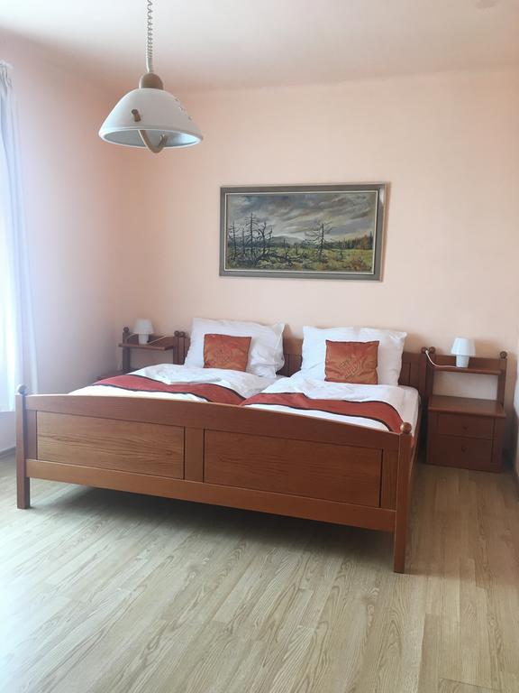 Pension Vidhous 1 Františkovy Lázně Buitenkant foto